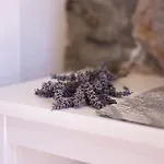 Dalmatinska Kuca ماكارسكا