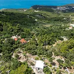 בית נופש Dalmatinska Kuca מאקרסקה