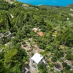 بيت للعطل Dalmatinska Kuca