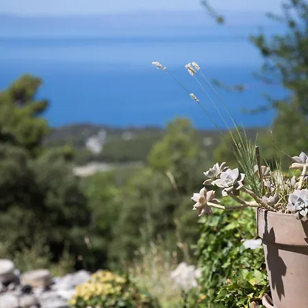 Dalmatinska Kuca Holiday home
