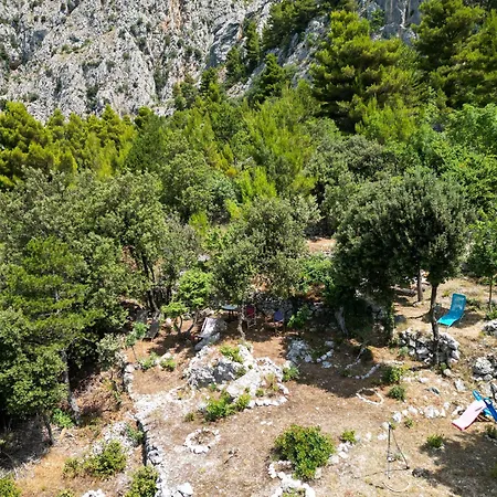 Dalmatinska Kuca