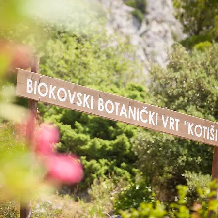Dalmatinska Kuca