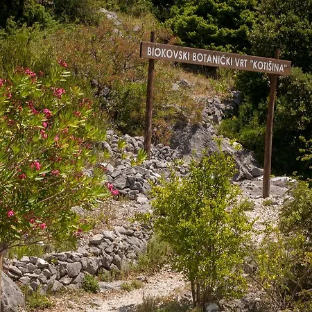 Nyaraló Dalmatinska Kuca