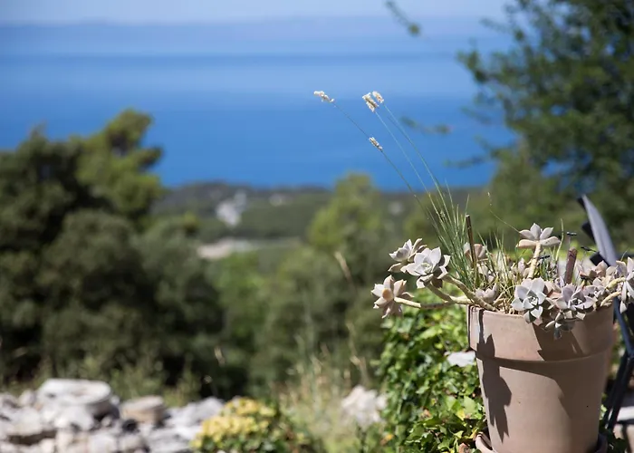 Dalmatinska Kuca Дом отдыха