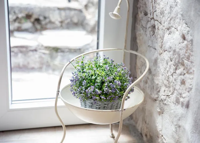 בית נופש Dalmatinska Kuca מאקרסקה