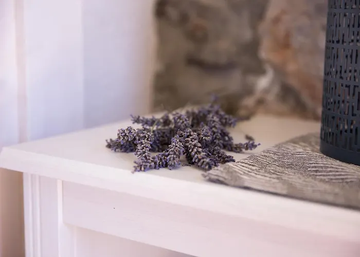 Dalmatinska Kuca מאקרסקה