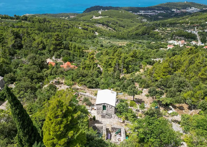 Dalmatinska Kuca בית נופש מאקרסקה